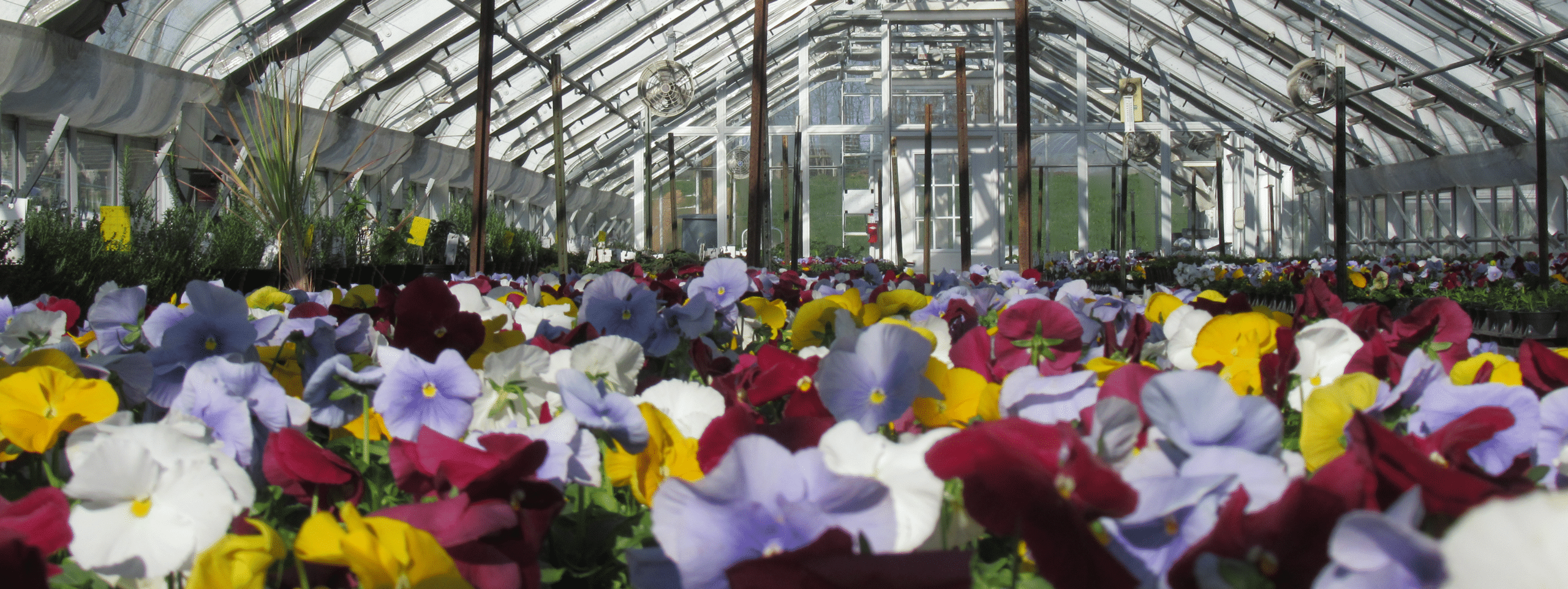 Farm Store Product Availability Greenacres Foundation