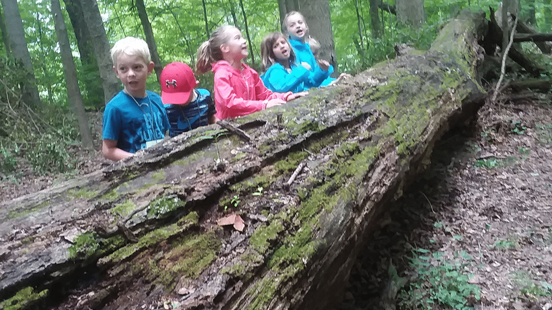 Summer Camps At Greenacres