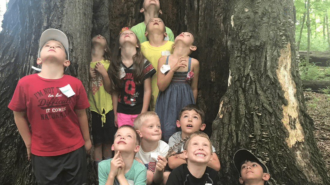 Summer Camps At Greenacres