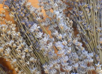 lavender bunches_3840x1300